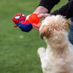 Peluche Para Perro Pelota Spiderman -Productos Para Perros 2800000707 5