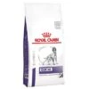 Royal Canin Expert Canine Dental Pienso Para Perros 2 Royal Canin Expert Canine Dental Pienso Para Perros -Productos Para Perros 284805 pla royalcanin veterinary canine dental kg hs 01 5