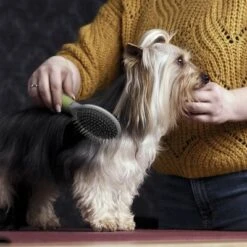 Cepillo De Doble Cara Moser Para Mascotas -Productos Para Perros 289796 moser beidseitige fellpflegebuerste hs 02 1