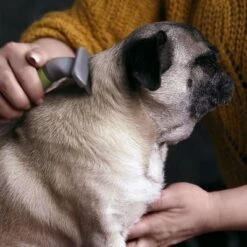 Peine Moser Para El Subpelo De Las Mascotas -Productos Para Perros 289797 moser unterwollkamm hs 02 4