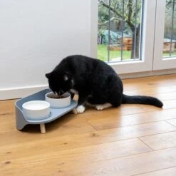 TIAKI Comedero Doble De Cerámica Para Mascotas -Productos Para Perros 302496 duo napf mit katze fg 0999 5