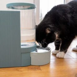 TIAKI Tolva Para Pienso Y Agua, Azul Claro Para Mascotas -Productos Para Perros 302496 duo napf mit katze fg 1028 7