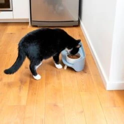 TIAKI Comedero Doble De Cerámica Para Mascotas -Productos Para Perros 302496 tiaki keramiknapf duo 9