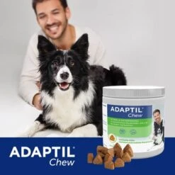 ADAPTIL® Chew Para Perros -Productos Para Perros 302596 cevadeutschland adaptil chew hunde 30chews hs 06 6