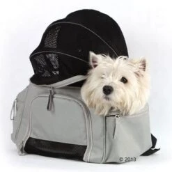 Trasportín Mochila Sightseeing -Productos Para Perros 305015 will rucksack 7511 03 2013 0