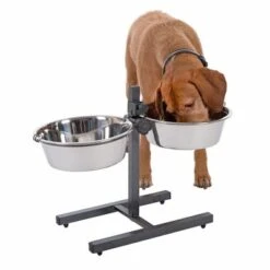 Soporte Ajustable Con 2 Comederos Incluidos -Productos Para Perros 313523 kumar hundebar inklusive 2 edelstahln pfe 03 dsc5878 8