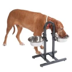 Soporte Ajustable Con Dos Comederos De 1,6 L 14 Soporte Ajustable Con Dos Comederos De 1,6 L -Productos Para Perros 313525 u hundebar 06 dsc9199 3