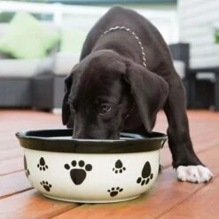 Vet's Best® Dental Refrescante De Aliento Para Perros 6 Vet's Best® Dental Refrescante De Aliento Para Perros -Productos Para Perros 317896 vetsbest dental atemerfrischer hs 03 3