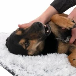 Manta TIAKI Cloud Para Mascotas 29 Manta TIAKI Cloud Para Mascotas -Productos Para Perros 318000 tiaki hundedecke decke cloud hs 23 7