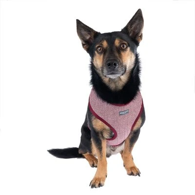 Arnés Nomad Tales Calma Burdeos Para Perros 13 Arnés Nomad Tales Calma Burdeos Para Perros - Imagen 11