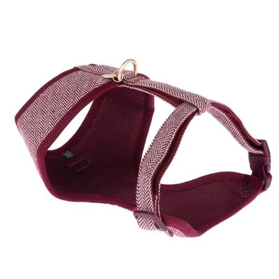 Arnés Nomad Tales Calma Burdeos Para Perros 4 Arnés Nomad Tales Calma Burdeos Para Perros - Imagen 2