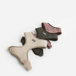 Arnés Nomad Tales Calma Burdeos Para Perros 32 Arnés Nomad Tales Calma Burdeos Para Perros -Productos Para Perros 325796 nomad tales calma ebony 05 5