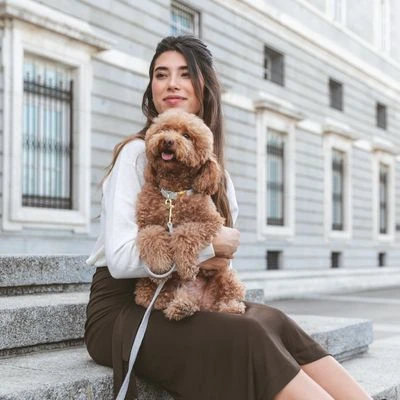 Collar Nomad Tales Calma Piedra Para Perros 13 Collar Nomad Tales Calma Piedra Para Perros - Imagen 11