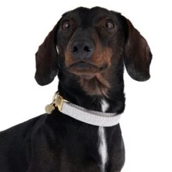 Collar Nomad Tales Calma Piedra Para Perros 20 Collar Nomad Tales Calma Piedra Para Perros -Productos Para Perros 326807 calma m fg 7321 6