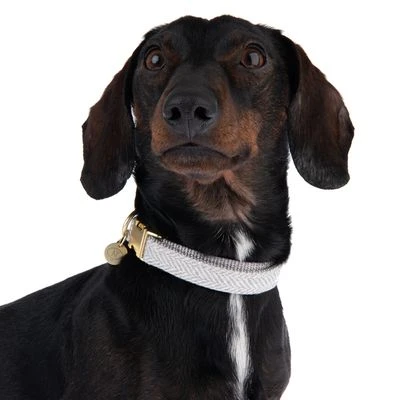 Collar Nomad Tales Calma Piedra Para Perros 7 Collar Nomad Tales Calma Piedra Para Perros - Imagen 5