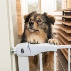 Barrera Blanca TIAKI Con 7 Cm De Extensión Para Perros 19 Barrera Blanca TIAKI Con 7 Cm De Extensión Para Perros -Productos Para Perros 334597 tiaki dog gate white fg 8198 1