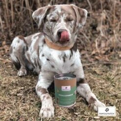 PAWS & PATCH Harina De Algas 7 PAWS & PATCH Harina De Algas -Productos Para Perros 346896 paws patch seealgenmehl 250g hs 02 0