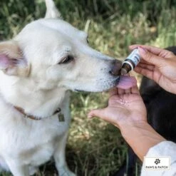 PAWS & PATCH Complemento Para La Ansiedad -Productos Para Perros 347097 paws patch angst unsicherheit hs 02 8