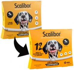 Collar Antiparasitario Para Perros -Productos Para Perros 3714 transicion2 6