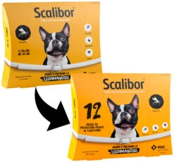 Collar Antiparasitario Para Perros -Productos Para Perros 3714 trasicion1 5
