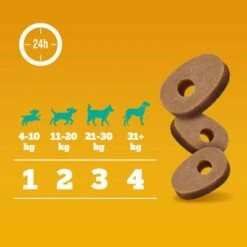 Pedigree Multivitaminas Para El Sistema Inmunitario -Productos Para Perros 372107 pedigree multivitamins immunsystem hs 07 6