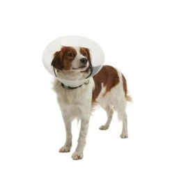 Ferribiella Collar Isabelino -Productos Para Perros 429635 colarisabelino 2