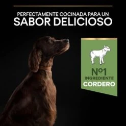 PURINA PRO PLAN Large Adult Athletic Sensitive Digestion Cordero Y Arroz -Productos Para Perros 44142537 es es 221230 1 3