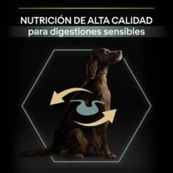 PURINA PRO PLAN Large Adult Athletic Sensitive Digestion Cordero Y Arroz -Productos Para Perros 44142537 es es 221230 1 3 2