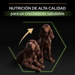 PURINA PRO PLAN Large Athletic Puppy Healthy Start 16 PURINA PRO PLAN Large Athletic Puppy Healthy Start -Productos Para Perros 44142743 es es 221230 1 3 5