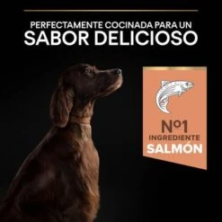 Purina Pro Plan Large Athletic Adult Sensitive Skin Salmón 17 Purina Pro Plan Large Athletic Adult Sensitive Skin Salmón -Productos Para Perros 44152227 es es 221230 1 2