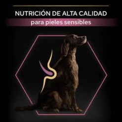 Purina Pro Plan Large Athletic Adult Sensitive Skin Salmón 14 Purina Pro Plan Large Athletic Adult Sensitive Skin Salmón -Productos Para Perros 44152227 es es 221230 1 3 9