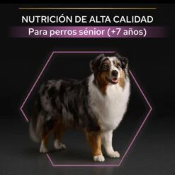 PURINA PRO PLAN Medium & Large Adult 7+ Age Defence -Productos Para Perros 44152668 es es 221230 1 3 5
