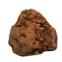 Chewies Raíz Para Masticar Tamaño L 8 Chewies Raíz Para Masticar Tamaño L -Productos Para Perros 498909 pets nature kauwurzel chewies variante 2