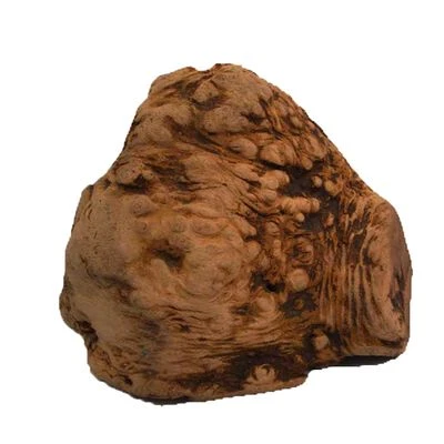 Chewies Raíz Para Masticar Tamaño L 5 Chewies Raíz Para Masticar Tamaño L - Imagen 3