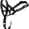 Halti Bozal Para Perro Headcollar Negro 2 Halti Bozal Para Perro Headcollar Negro -Productos Para Perros 51988 2 halti head collar black 2457 0