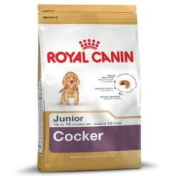 Royal Canin Cocker Puppy / Junior -Productos Para Perros 61345 PLA rgb Royal Canin Cocker Junior 6
