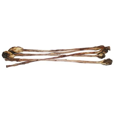 Snack Canibit Látigo De Ternera Para Perros 6 Snack Canibit Látigo De Ternera Para Perros - Imagen 4