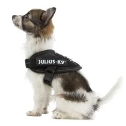 Julius K9 Arnés Julius-K9 IDC® Power Negro Para Perros 16 Julius K9 Arnés Julius-K9 IDC® Power Negro Para Perros -Productos Para Perros 65467 julius k9 idc powergeschirr schwarz 7