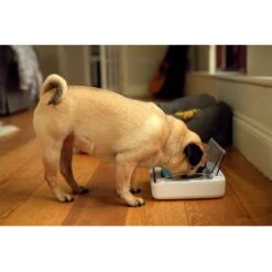 Comedero Hermético SureFeed -Productos Para Perros 69308 pla 6 luftdichte futt 3