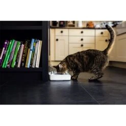 Comedero Hermético SureFeed -Productos Para Perros 69308 pla 7 luftdichte futt 5