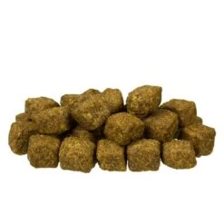 Bosch Medium Junior 7 Bosch Medium Junior -Productos Para Perros 70020 bosch medium junior kroketten 9