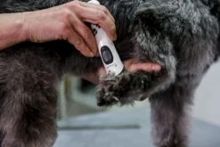 ARTERO Máquina Exacta -Productos Para Perros 71nduicb86s ac sl1500 6343e2858140f