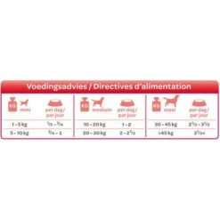 Smølke Fresh Steamed Mix Comida Húmeda Para Perros 11 Smølke Fresh Steamed Mix Comida Húmeda Para Perros -Productos Para Perros 74955 smolke gestoomd lam voedingsadvies 9