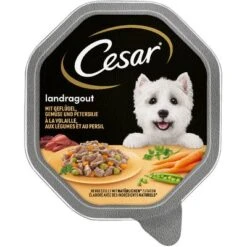 Cesar En Tarrinas 14 X 150 G -Productos Para Perros 75301 pla mars cesar landragout mit gemuese hs 01 8