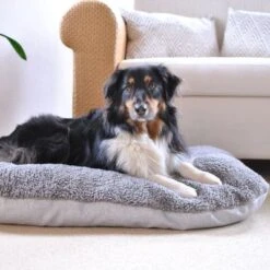 Cojín Ortopédico Pawz & Pepper Denver 25 Cojín Ortopédico Pawz & Pepper Denver -Productos Para Perros 78610 petlando pawzpepper hundekissen auroraortho hs 010 3