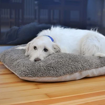 Cojín Ortopédico Pawz & Pepper Denver 6 Cojín Ortopédico Pawz & Pepper Denver - Imagen 4