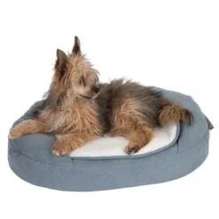 Cama Ortopédica Memory Ovalada Gris 39 Cama Ortopédica Memory Ovalada Gris -Productos Para Perros 79216 memory oval grau fg 6670 1