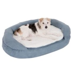Cama Ortopédica Memory Ovalada Gris 34 Cama Ortopédica Memory Ovalada Gris -Productos Para Perros 79217 memory oval grau fg 6571 5