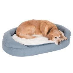 Cama Ortopédica Memory Ovalada Gris 37 Cama Ortopédica Memory Ovalada Gris -Productos Para Perros 79310 memory oval grau fg 6579 0