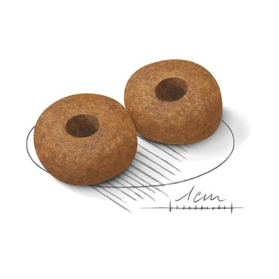 Royal Canin Medium Ageing 10+ 4 Royal Canin Medium Ageing 10+ - Imagen 2